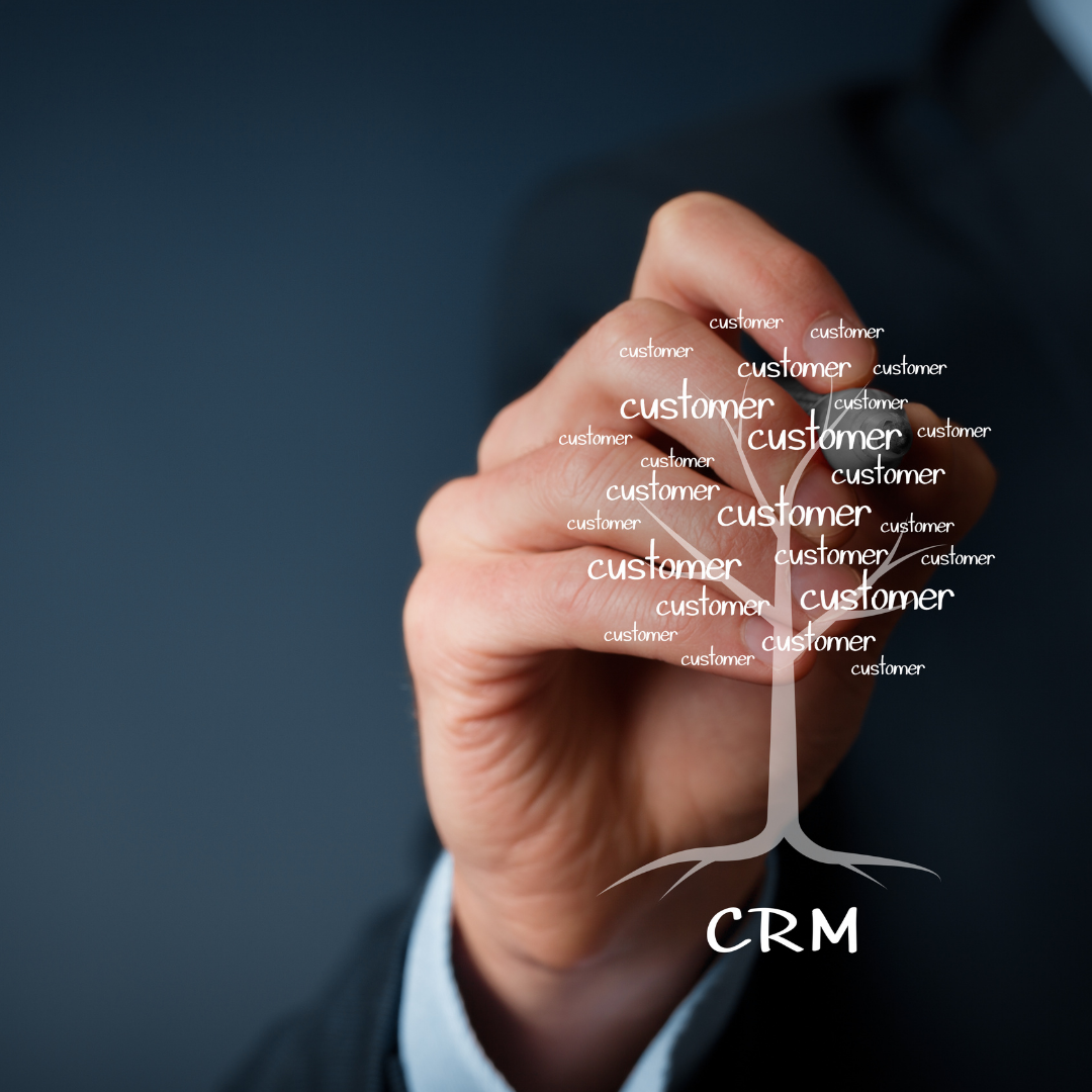 Top CRM Solutions for Nonprofits in 2024: Maximizing Impact